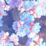cloudcatssniff profile photo