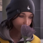 irosenpinetree profile photo